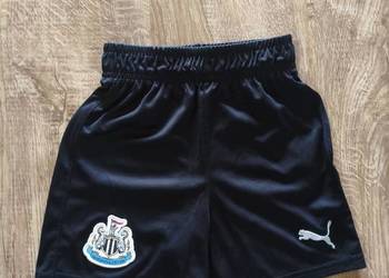Spodenki Newcastle United Puma 116 cm