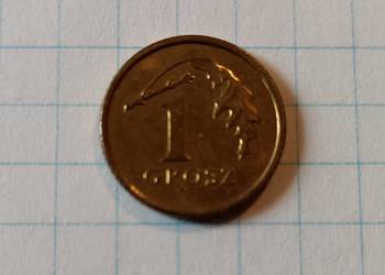 1 GROSZ 2005 ROK - POLSKA ( DESTRUKT - SKRĘTKA )