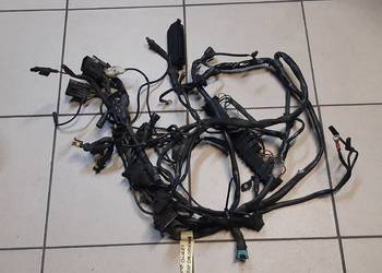 Wiązka instalacja MOTO GUZZI CALIFORNIA EV 1100