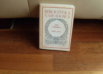 Książka Jóżef Czechowicz Wybór poezji