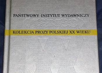 Czarny potok - Leopold Buczkowski