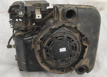 Silniki spalinowe do kosiarek Hecht, Tecumseh, Briggs&Stratton - 6 szt.