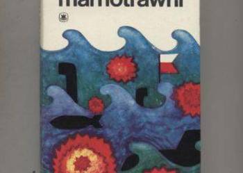 Synowie marnotrawni - Dyskant