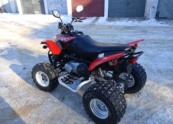 Kymco Arctic DVX 250