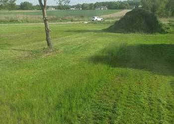 Mulczowanie, wykaszanie nieużytków, poplonów.