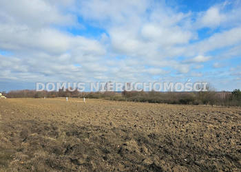 Grunt 1500m2 Rozworzyn