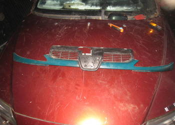 Grill Atrapa chłodnicy wlot powietrza Peugeot 206 zielona