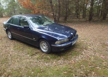 BMW E39 530d Aut 2000r. po lift do negocjacji