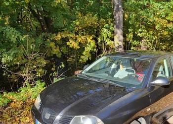 Seat Ibiza - Czarna strzała