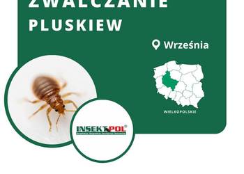 Zwalczanie Pluskiew Września - Skuteczna Dezynsekcja, Odpluskwianie