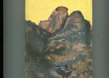 O wytrwałym wędrowcu - Świeżawski