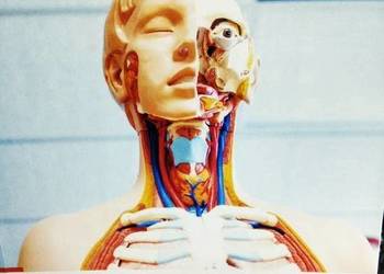 Biologia 3 Biomedica