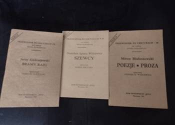 przewodniki po lekturach