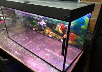 Akwarium 80x35x40 112 L pokrywa aluminiowa , oświetlenie 2 x led