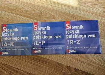 00036. Słownik języka polskiego PWN w trzech częściach na CD