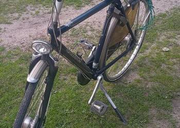 Rower męski gazelle