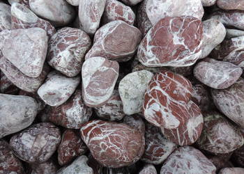 Otoczak Atlas Red Otoczak Czerwony Rouge Royal Cherry