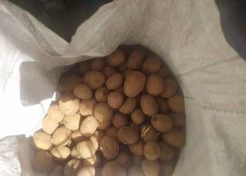Sprzedam ziemniaki