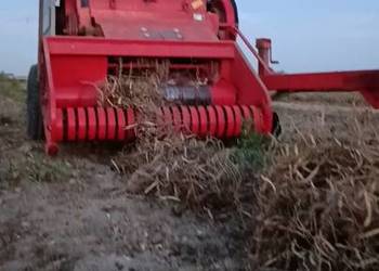 SOLMAX KOMBAJN DO FASOLI