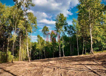 Działka Malawa 1760m