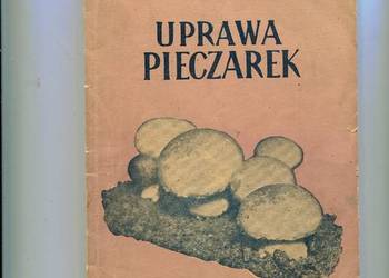 Uprawa pieczarek - Bukowski
