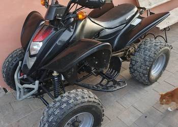 Quad Shineray