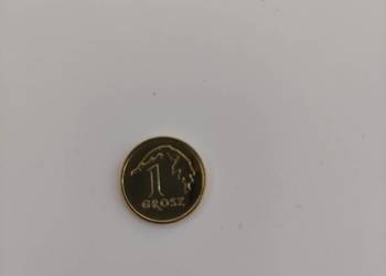 1 gr 2018