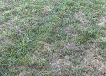 Do sprzedaży działka 2000m2 Łazy