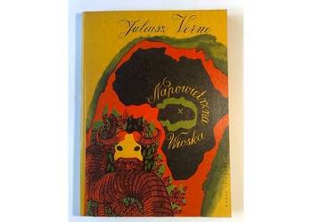 Juliusz Verne: Napowietrzna wioska