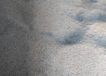 Pszenżyto ozime śruta zbozowa