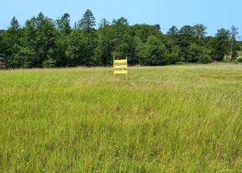 Działka z linią brzegową jeziora Wygryny w Wygrynach