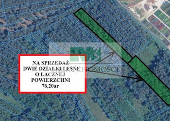 DO SPRZEDAŻY DWIE DZIAŁKI LEŚNE W GIEDLAROWEJ