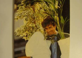 POTPLANTEN / POT PLANTS 1991 / 92