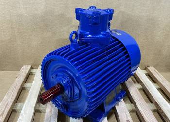 silnik elektryczny 22kW 2940obr. 3fazowy CELMA Ex