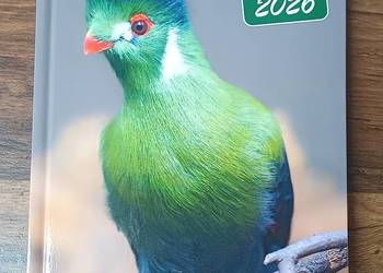 Terminarz Kalendarz nauczyciela 2025 2026 Mawi