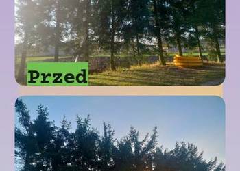 Usługa do działek, ogrodów i prac przydomowych.