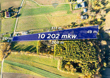 Działka z bijącym źródłem i kawałkiem lasu