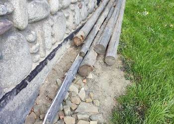 6 suchych żerdzi sosnowych dł. ok. 8m