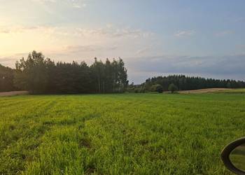 Sprzedam działkę z lasem o powierzchni 1,76h