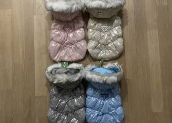 Nowa kamizelka kurtka ubranko dla psa Prada S-2XL