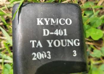 KYMCO - STEROWNIK PRZEKAZNIK D-401