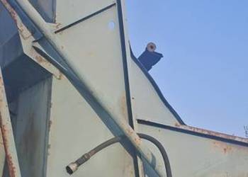 Kombajn do ziemniaków BOLKO