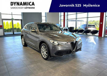 Alfa Romeo Stelvio Executive 2.0Turbo 280KM automat Q4 2019/2020 r., salon…