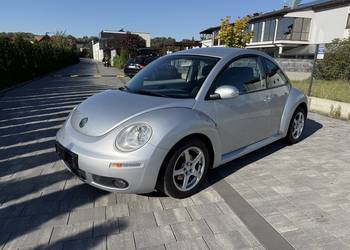 New beetle