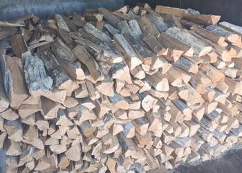 Różne rodzaje drewna opałowego/kominkowego Karwie
