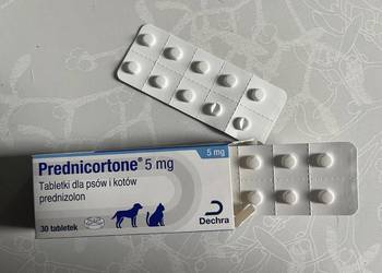 Prednicortone 5 ml dla psa i kota