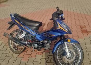 Motorower Router A500 50/80cc