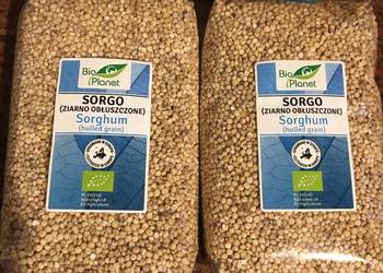 Sorgo BIO ziarno kasza bezglutenowa