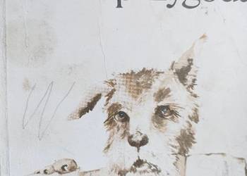 Wakacyjna przygoda książki Trójmiasto szkolne Gdańsk podręczniki Gdynia