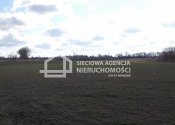 Oferta sprzedaży działki Grabno 12000m2